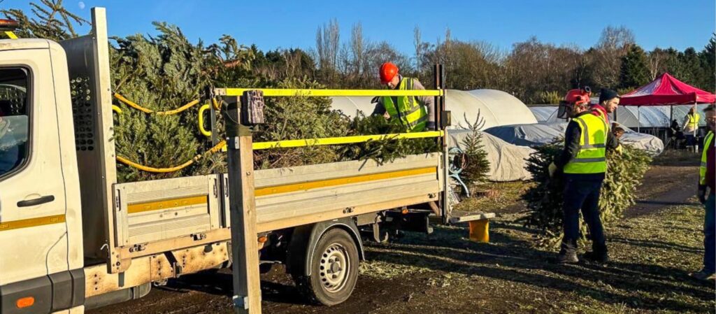 RSS Infrastructure Joins Charity Christmas Tree Collection to Support ...