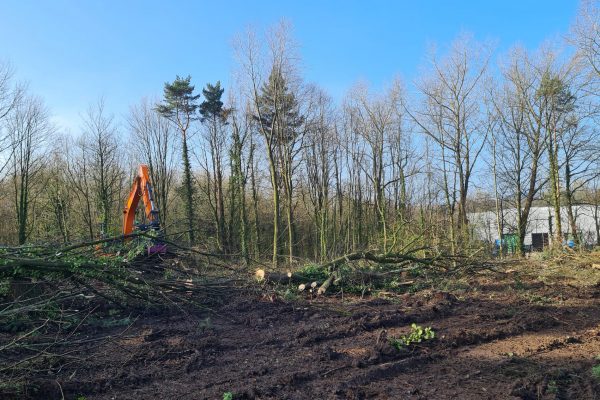 Vegetation Management and Clearance | Managed Environments | RSS Infrastructure